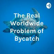 The Real Worldwide Problem of Bycatch