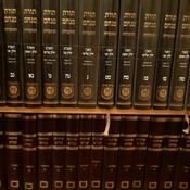 Podcast The Rebbe's Sichos Translated