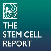 Podcast The Stem Cell Report with Martin Pera