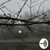 Podcast The Quiet