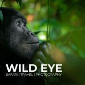 Podcast The Wild Eye Podcast