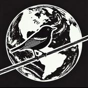 Podcast The Wired Warbler Travel Podcast