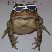 Podcast thenancast