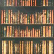 Podcast Thoughts On Literature