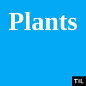 Podcast TIL: Plants