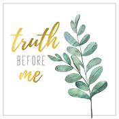 Podcast Truth Before Me