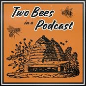 Podcast Two Bees in a Podcast