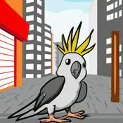 Podcast Hancock Cockatiels.org