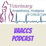 Podcast VAACCS Podcast