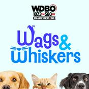 Podcast Wags and Whiskers