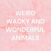 Podcast WEIRD WACKY AND WONDERFUL ANIMALS