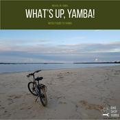 Podcast What's Up, Yamba!