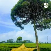 Podcast Zeet