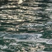 Podcast 正发生