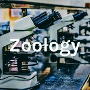 Podcast Zoology