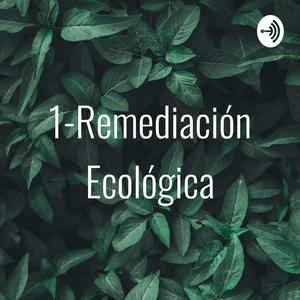 1-Remediación Ecológica