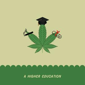 A Higher Education