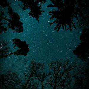 Listen to A Night In Nature Podcast in the App