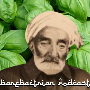 BareBactrian Podcast