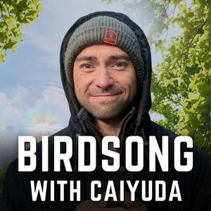 Birdsong with Caiyuda