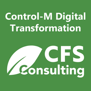 CFS Consulting