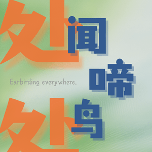 处处闻啼鸟