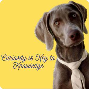 Curiosity is Key to Knowledge