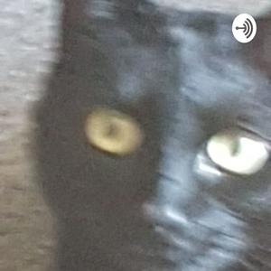 Der ADHS Podcast
