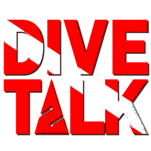 Listen to DIVE TALK in the App