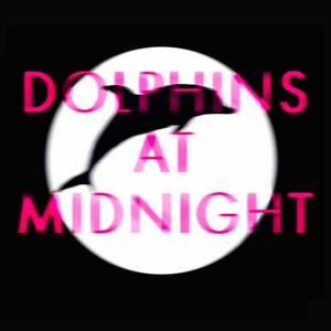 Listen to Dolphins at Midnight in the App