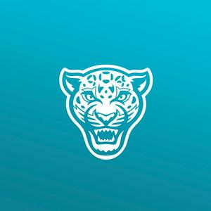 Duval Daily: A Jacksonville Jaguars Podcast