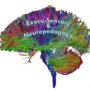 Listen to Execu-Sensory & Neuropedagogy Educational Consulting Services in the App