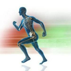 Fisiología Del Ejercicio