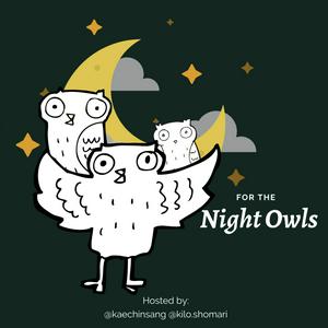 For The Night Owls