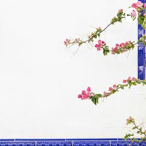 FutureWise by Bruce Au