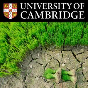 Global Food Security