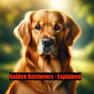 Listen to Golden Retrievers - Explained in the App