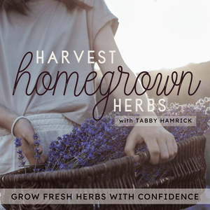 Harvest Homegrown Herbs | Beginner Gardener, Herbal Tea, Garden Planning, Seed Starting, Planting Zone