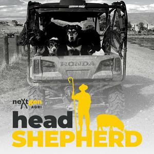 Listen to Head Shepherd in the App