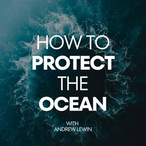 Listen to How To Protect The Ocean in the App