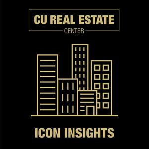 Icon Insights