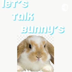 Let’s Talk Bunnys