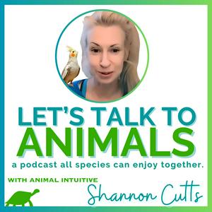 Let's Talk to Animals