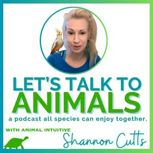 Listen to Let's Talk to Animals in the App