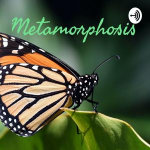 Metamorphosis