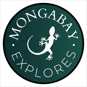 Listen to Mongabay Explores in the App