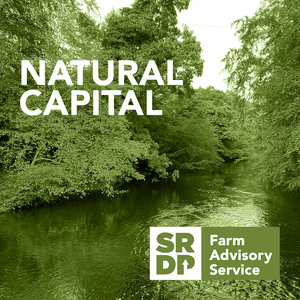 Listen to Natural Capital in the App