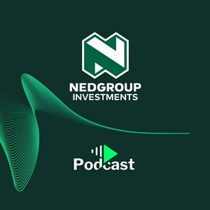 Nedgroup Investments Insights