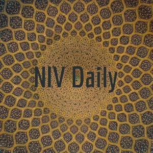NIV Daily