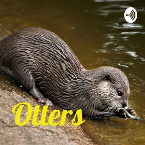 Otters